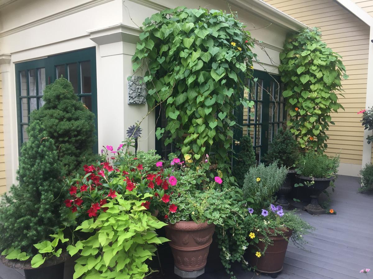 Mary Prentiss Inn Cambridge Ngoại thất bức ảnh