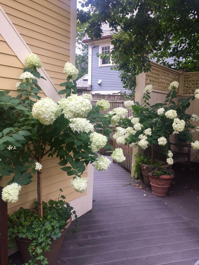 Mary Prentiss Inn Cambridge Ngoại thất bức ảnh